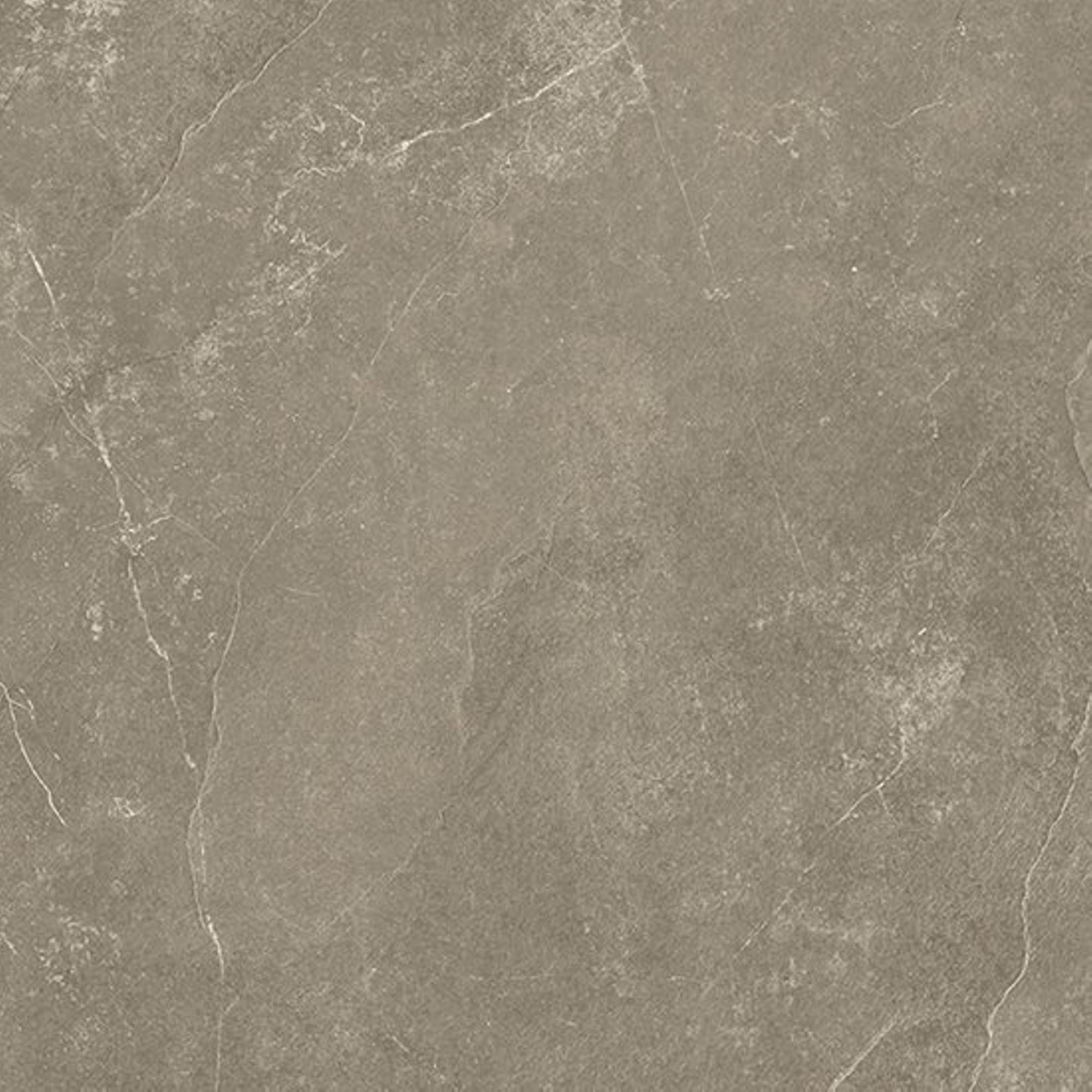 Beste Koop Harmony Vloertegel 1000X1000 Taupe 8,5mm Mat Ret.R10 - Mozaiektegel.com