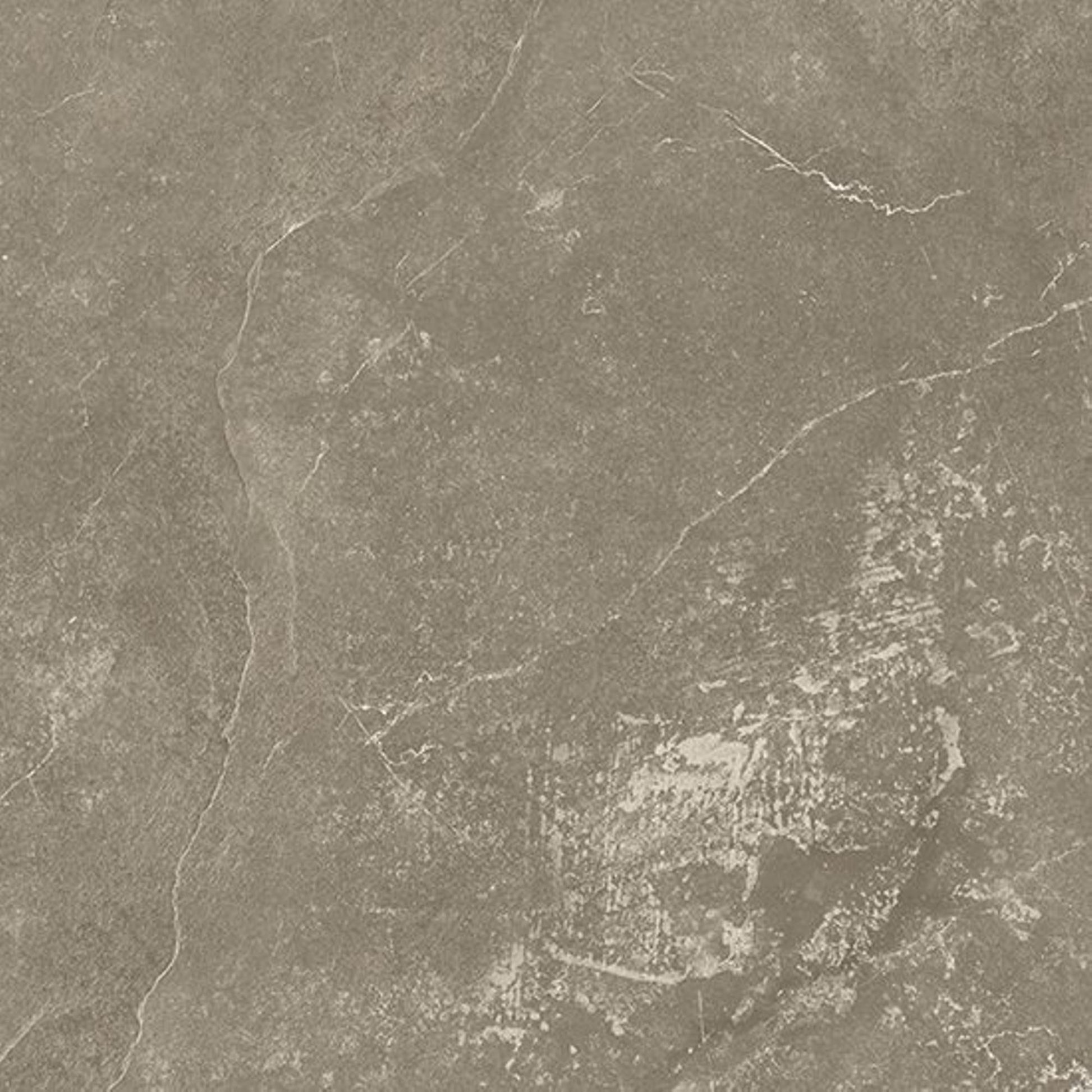 Beste Koop Harmony Vloertegel 1000X1000 Taupe 8,5mm Mat Ret.R10 - Mozaiektegel.com