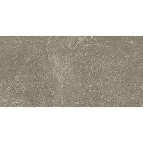 Beste Koop Harmony Vloertegel 300X600 Taupe 10mm Mat Ret.R10 - Mozaiektegel.com