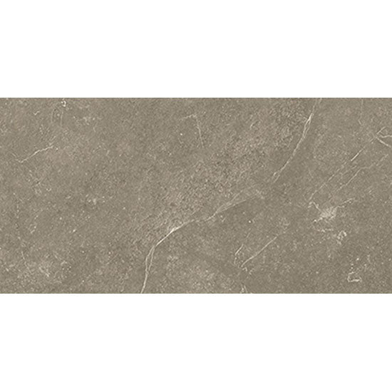 Beste Koop Harmony Vloertegel 300X600 Taupe 10mm Mat Ret.R10 - Mozaiektegel.com