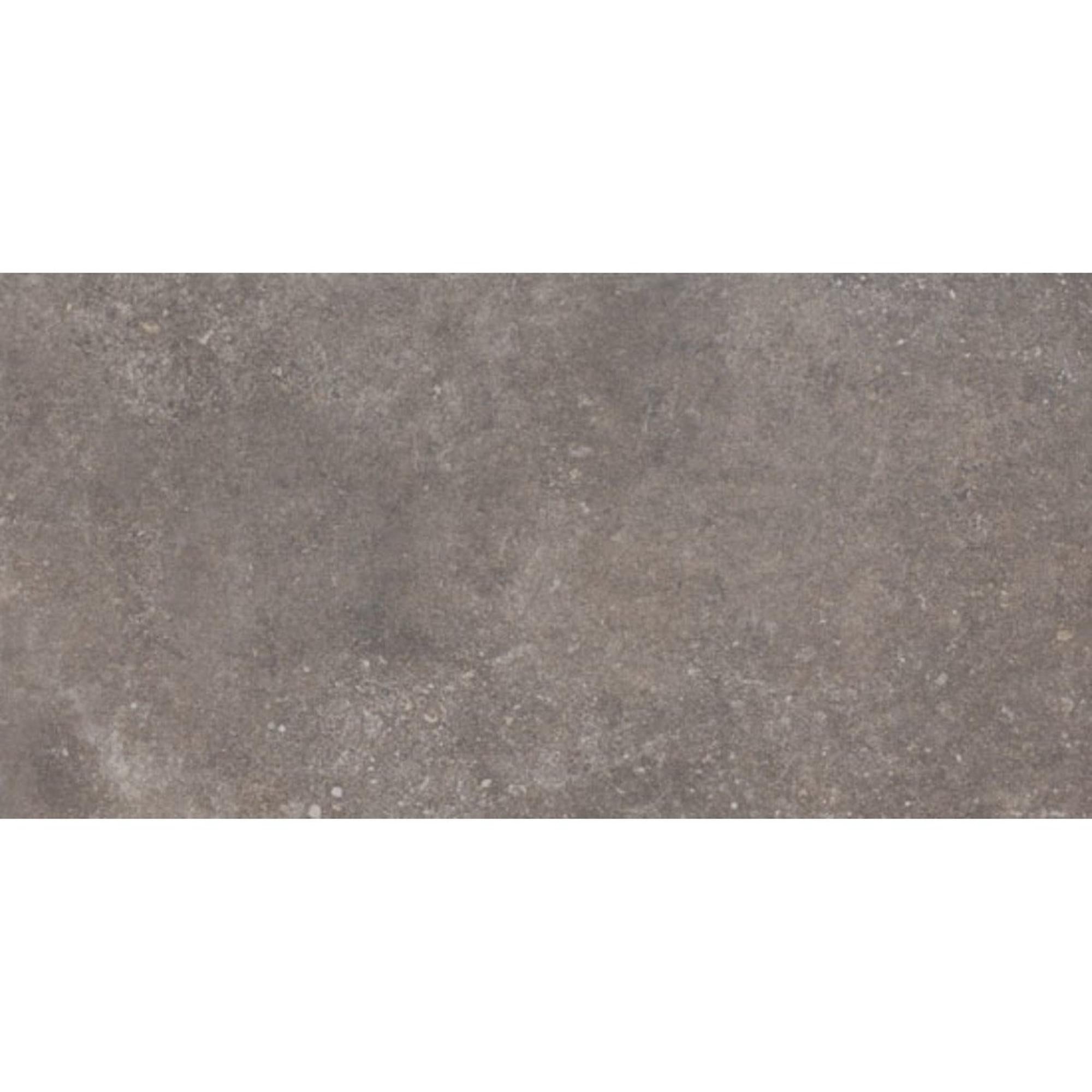 Beste Koop Phorma Vloertegel 300X600 Musk 8,8mm Mat Ret.R10 - Mozaiektegel.com