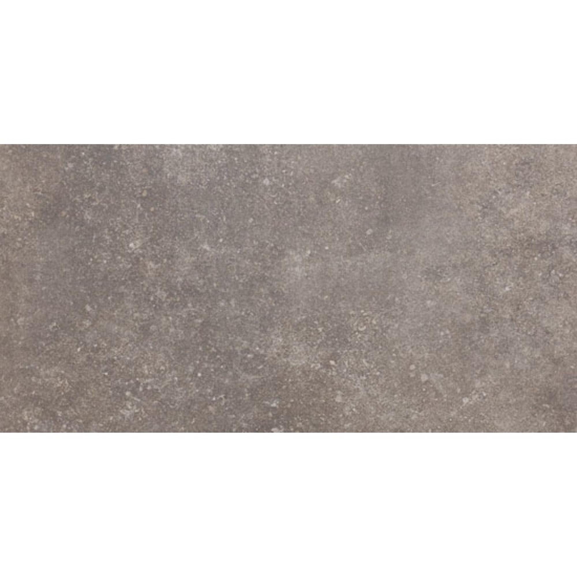 Beste Koop Phorma Vloertegel 300X600 Musk 8,8mm Mat Ret.R10 - Mozaiektegel.com