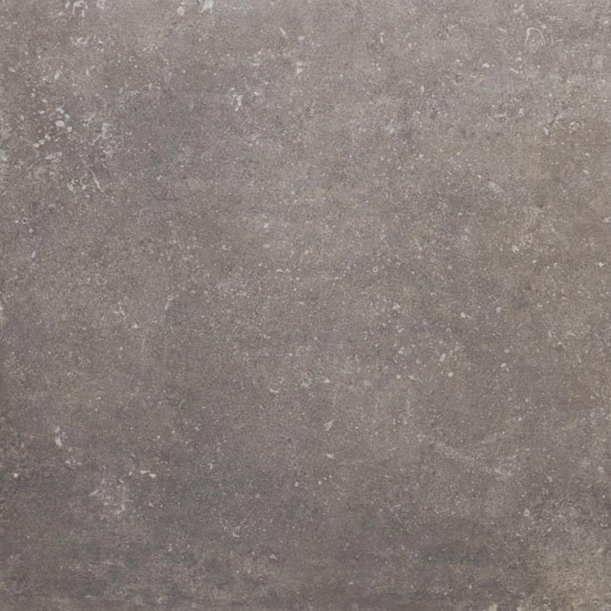 Beste Koop Phorma Vloertegel 600X600 Musk 8,8mm Mat Ret.R10 - Mozaiektegel.com