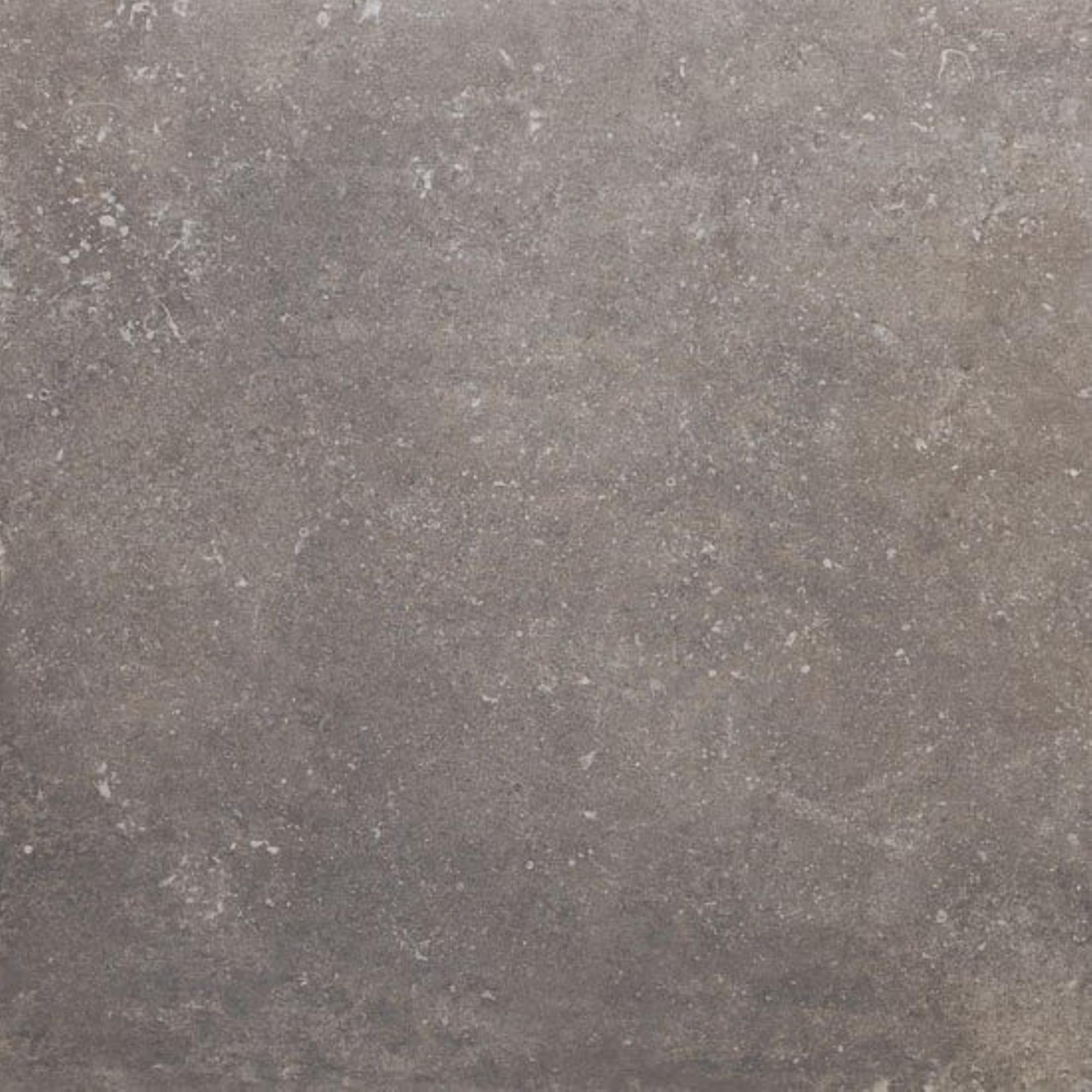 Beste Koop Phorma Vloertegel 600X600 Musk 8,8mm Mat Ret.R10 - Mozaiektegel.com