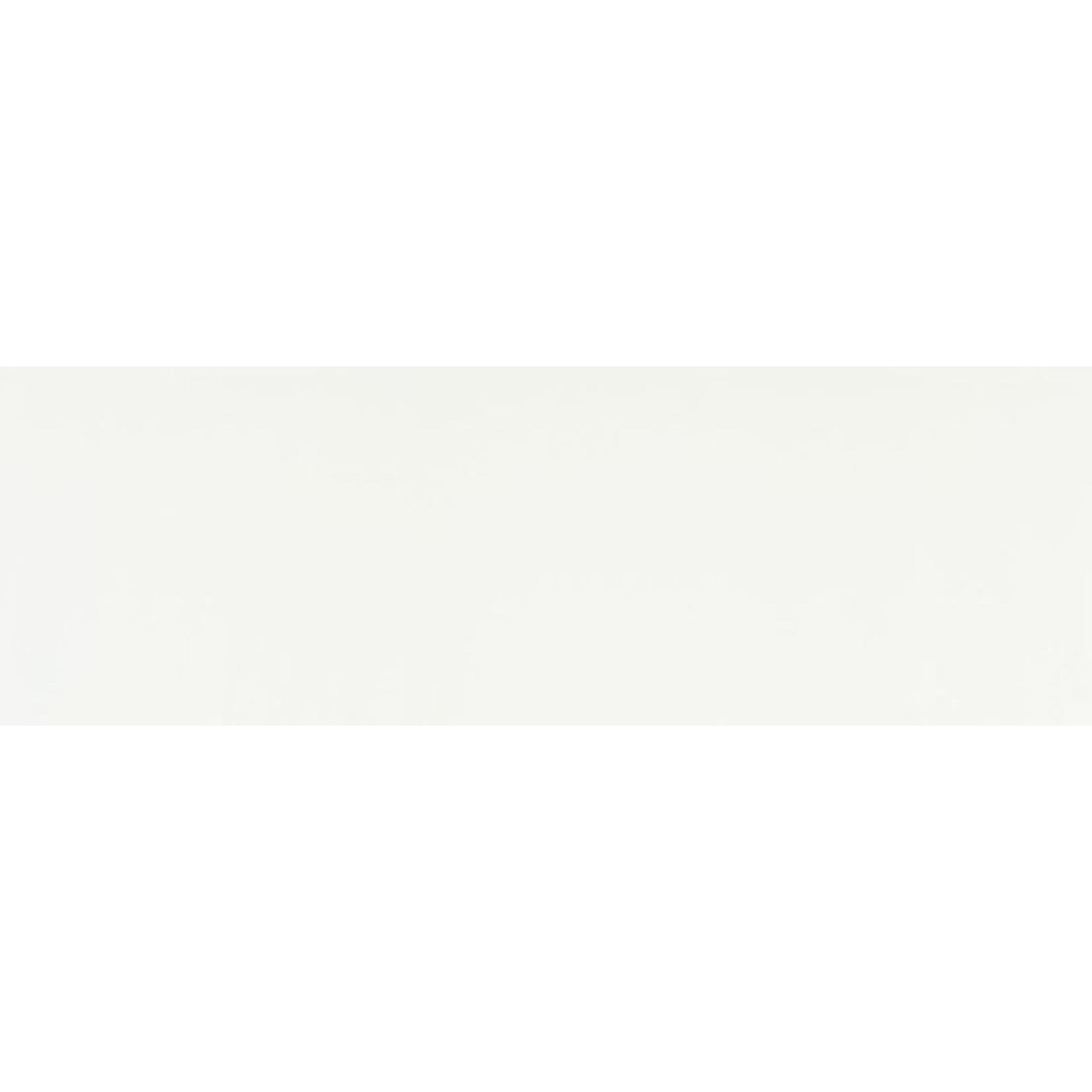 Colorker Andes & Austral 6450 Wandtegel 295X595 Blanco 9.7mm Mat Ret.