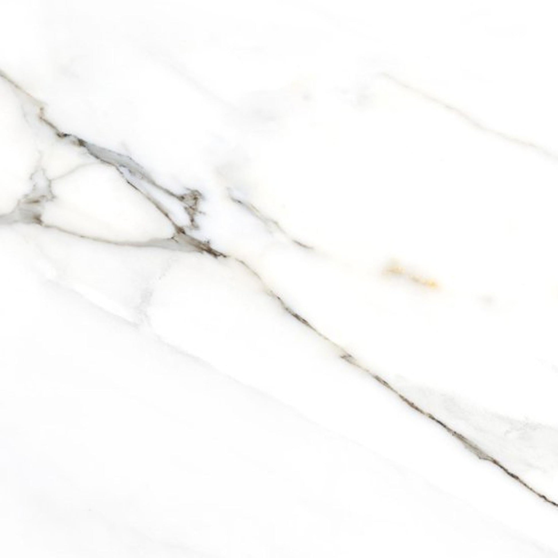 Colorker Calacatta Gold 223587 Vloertegel 595X595 White 8mm Mat Ret. - Mozaiektegel.com