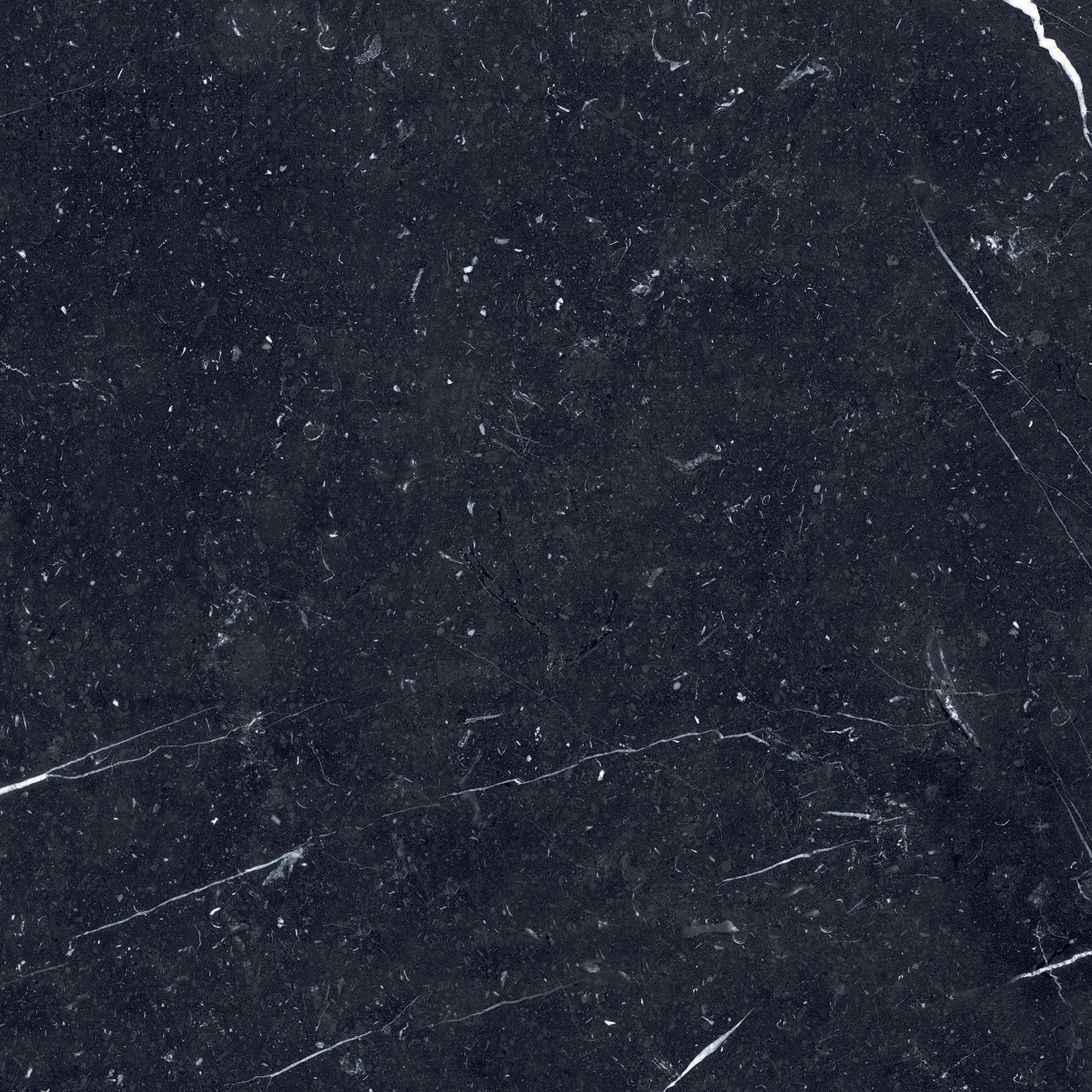 Dateg Prestige marquina 60x60 tegel