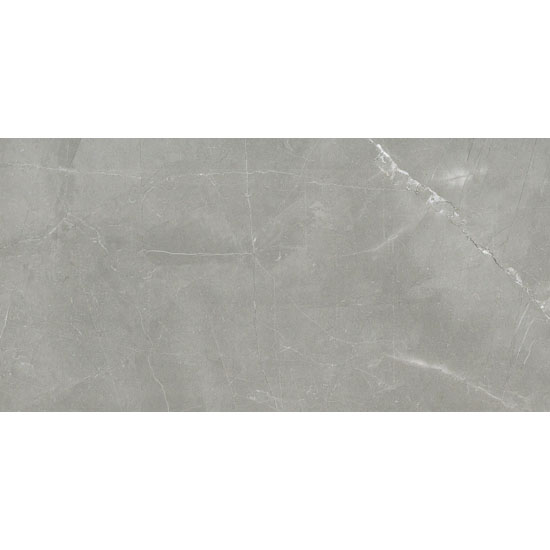 Florim Timeless 744856 Vloertegel 300X600 Grey 9Mm Glans Ret. - Mozaiektegel.com