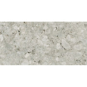 Florim Timeless 744865 Vloertegel 300X600 Ceppo di Gre 9Mm Glans Ret. - Mozaiektegel.com