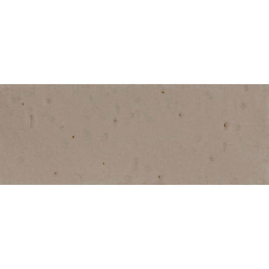 Ragno Glace RAEW Wandtegel 075X200 Mastice 9mm Glans
