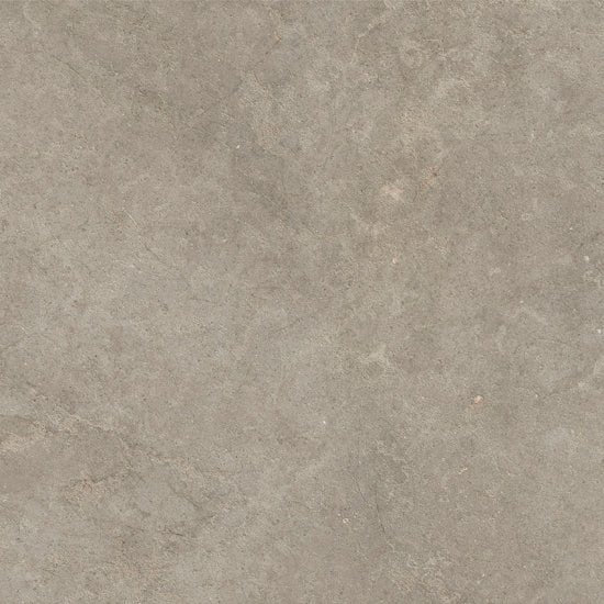 Ragno Richmond RCDV Vloertegel 600X600 Musk 8,5mm Mat Ret.R10 - Mozaiektegel.com