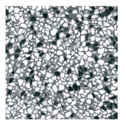 Terre d'Azur Granito Genua 40x40 cm - Mozaiektegel.com