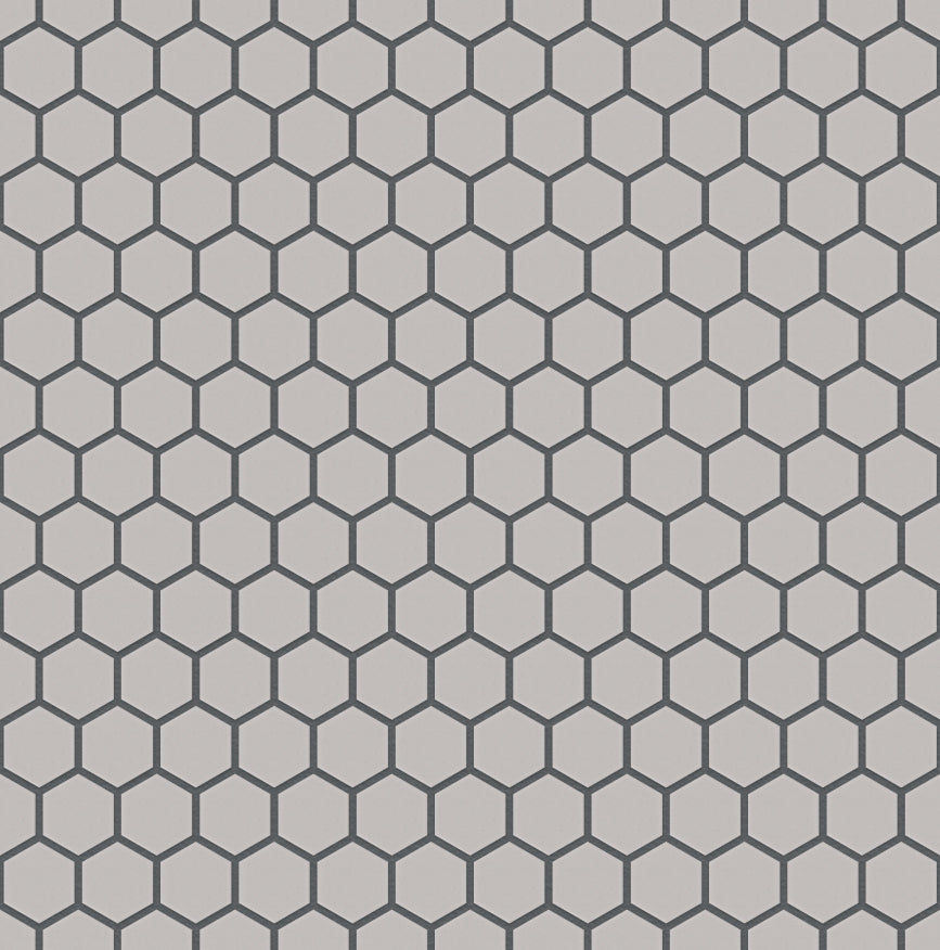 The Mosaic Factory London Mozaiek Tegel Hexagon - Wit Porselein Ongeglazuurd, R11 260x300 mm, voeg antracite