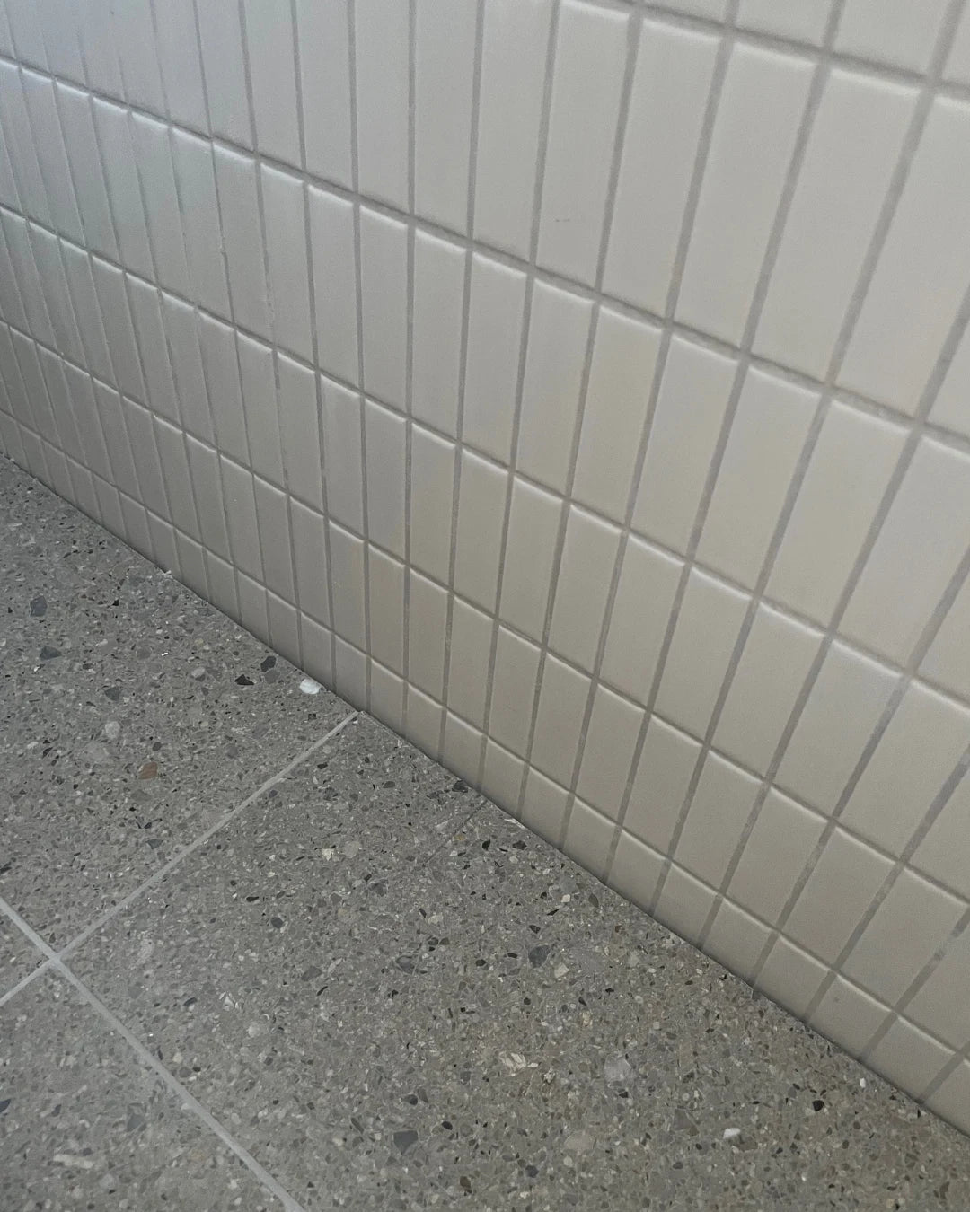 parg100 rectangle white