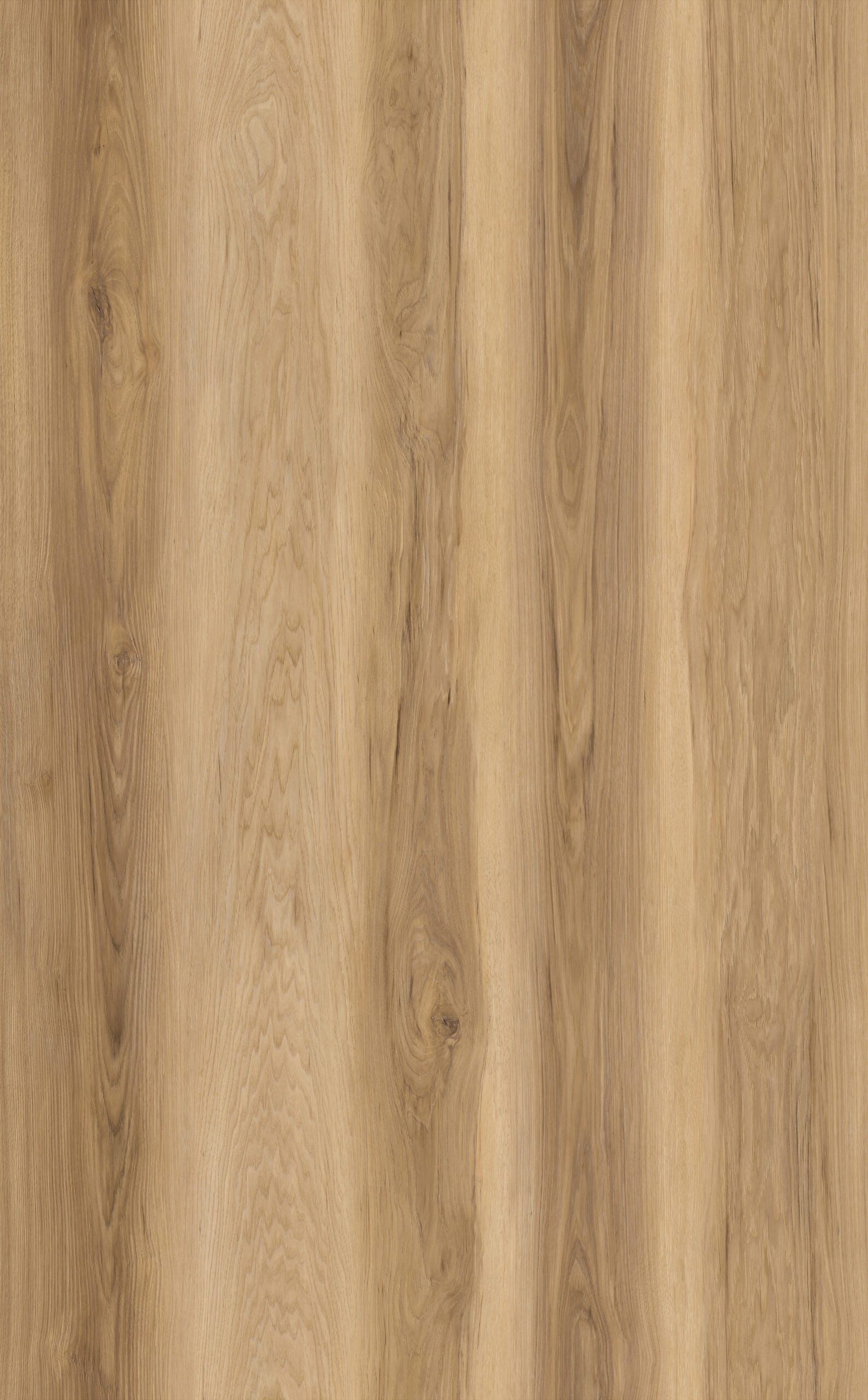 Dateg Limited Rigid Click XL Eiken naturel