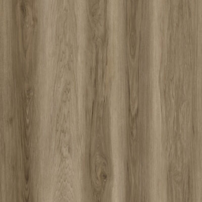 Dateg Limited Rigid Click XL Oak gray | Mosaiektile.com